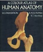 A Color Atlas Of Human Anatomy Rm H  Mcminn detail