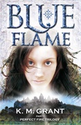 Blue Flame Perfect Fire Trilogy #1 - Km Grant