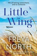 Little Wing Freya North detail