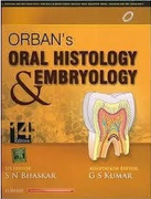 Orbans Oral Histology  Gs Kumar detail