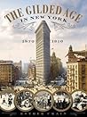 The Gilded Age In New York 1870-1910 Esther Crain detail