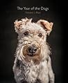 The Year Of The Dogs Vincent J Musi detail