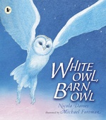 White Owl Barn Owl - Nicola Davies Michael Foreman 