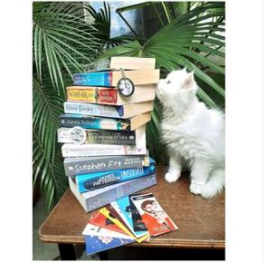 Customer Shyreen review